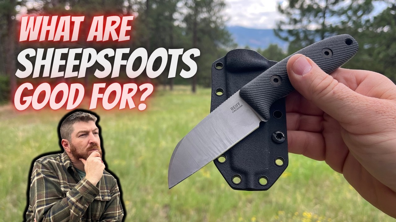 Why you might be carrying the wrong blade shape