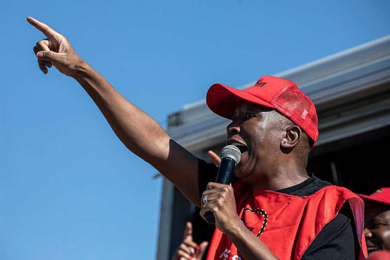 EFF supporter gogo encourages Julius Malema in viral video ahead of pre ...