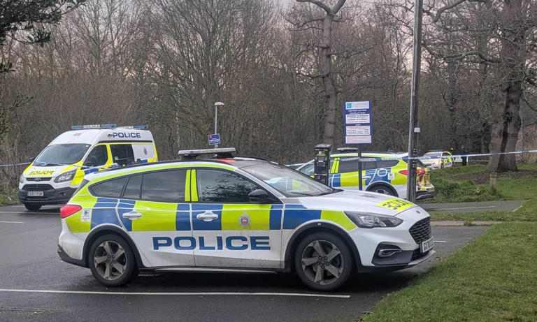 Teenagers arrested on suspicion of murder after schoolboy was stabbed ...