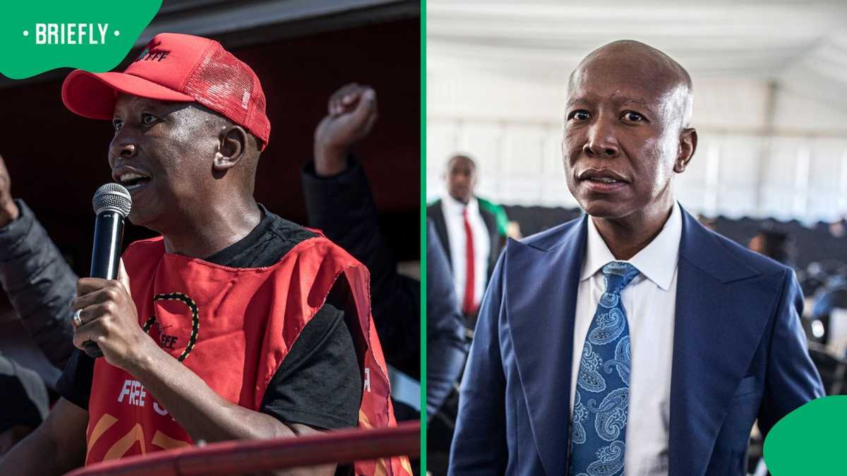 EFF supporter gogo encourages Julius Malema in viral video ahead of pre ...