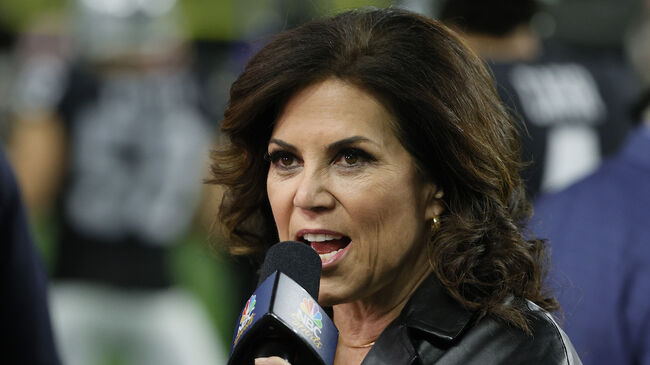 Former NFL sideline reporter announces Senate campaign