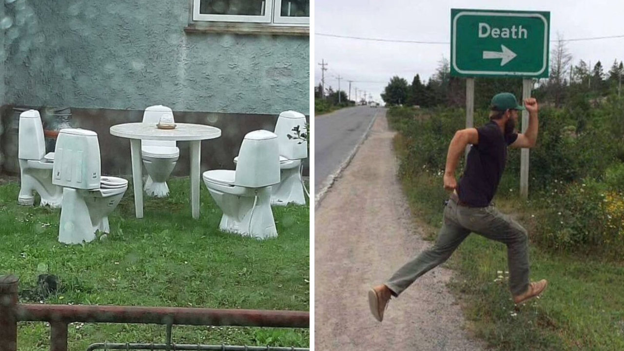 30 random pics that are pure chaos and make no sense