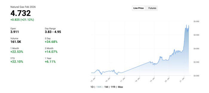 US natural gas prices surge 45% in two days due to Arctic cold