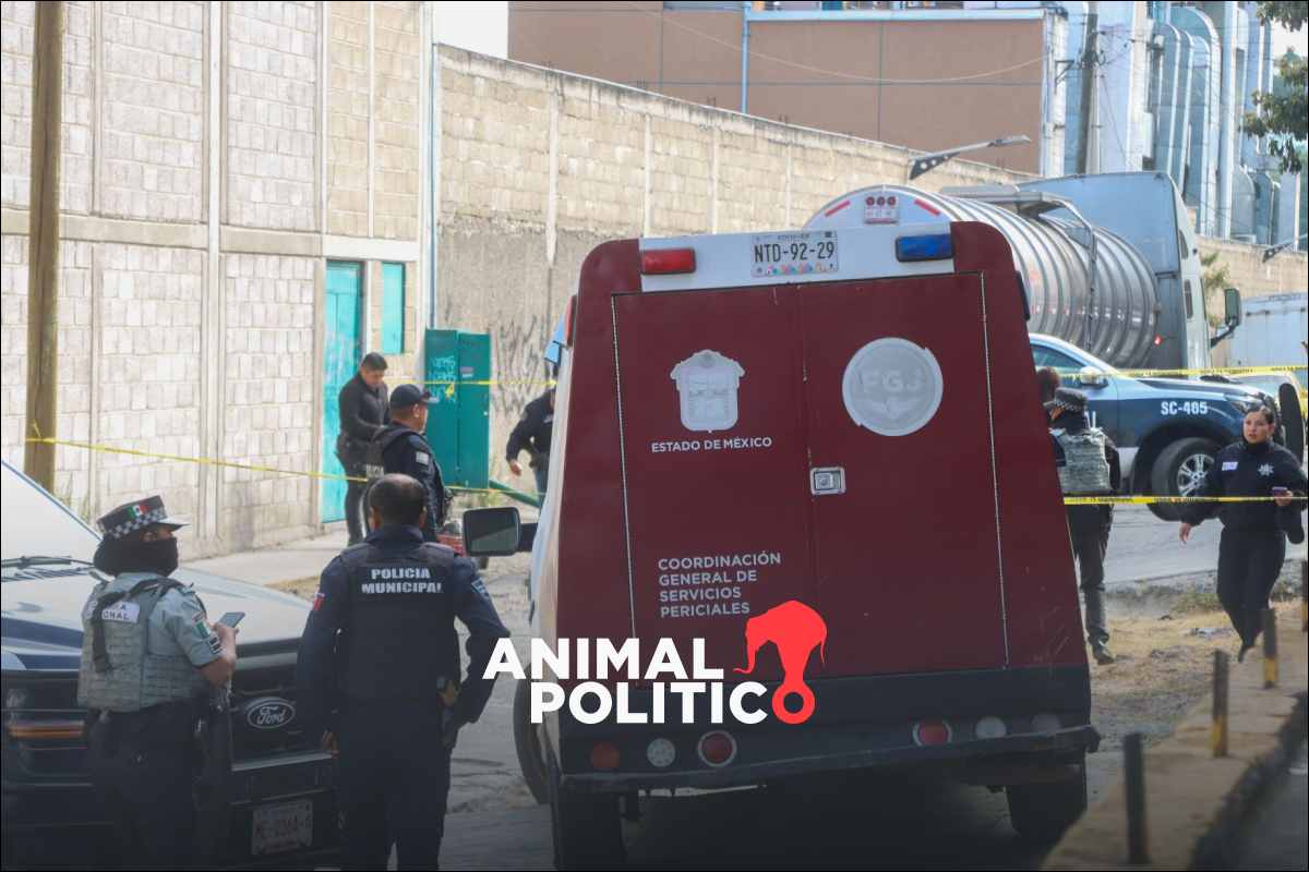 Homicidios en México bajan 11% en el primer semestre de 2025; armas de ...