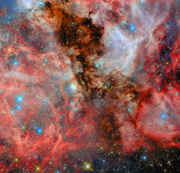 Hubble sees baby stars in Large Magellanic Cloud | Space photo of the ...