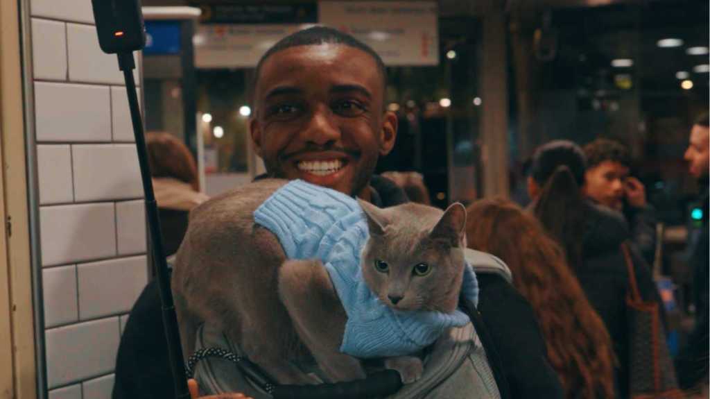 ‘I was victim of homophobic abuse – just because I took my cat for a walk’