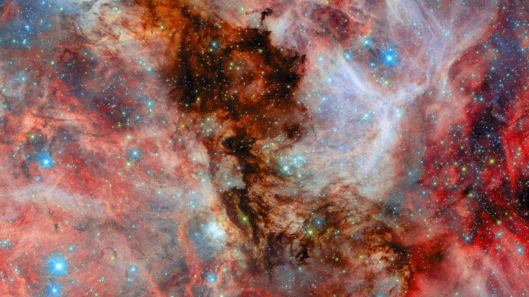 Hubble sees baby stars in Large Magellanic Cloud | Space photo of the ...