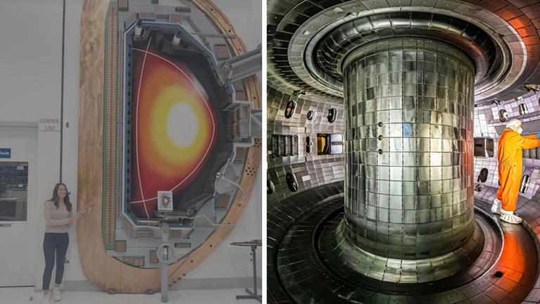 US magnetic control could shield fusion reactors against high-energy ...