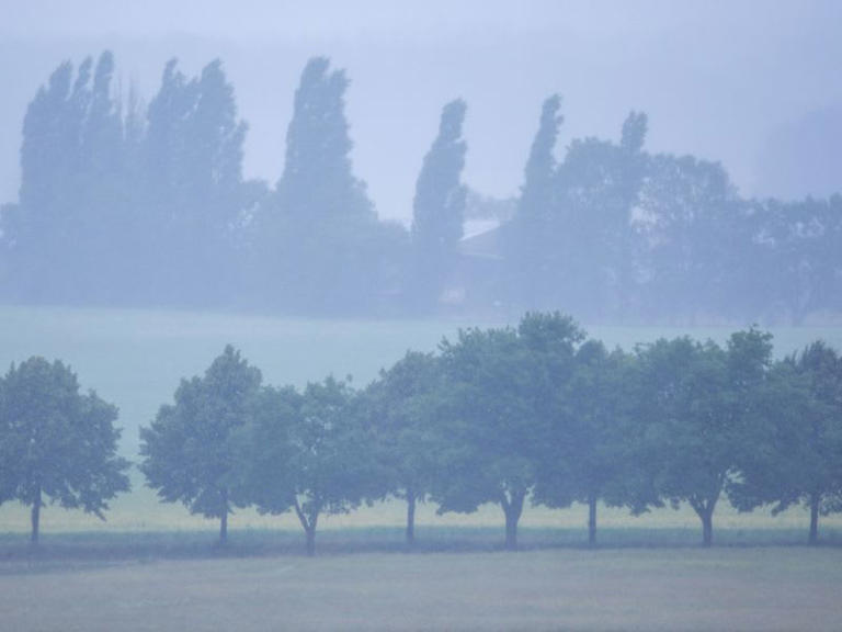 Wetterwarnung Mannheim bis morgen: Nebel am Mittwoch - DWD warnt
