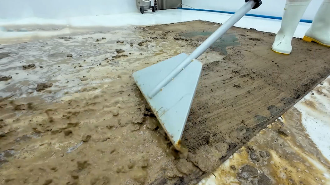 Cleaning a rug buried in thick mud