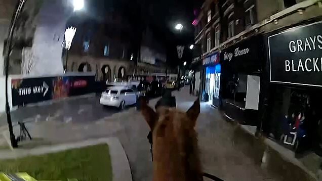 Police officers pursue wanted man on recall from prison on horseback<br>