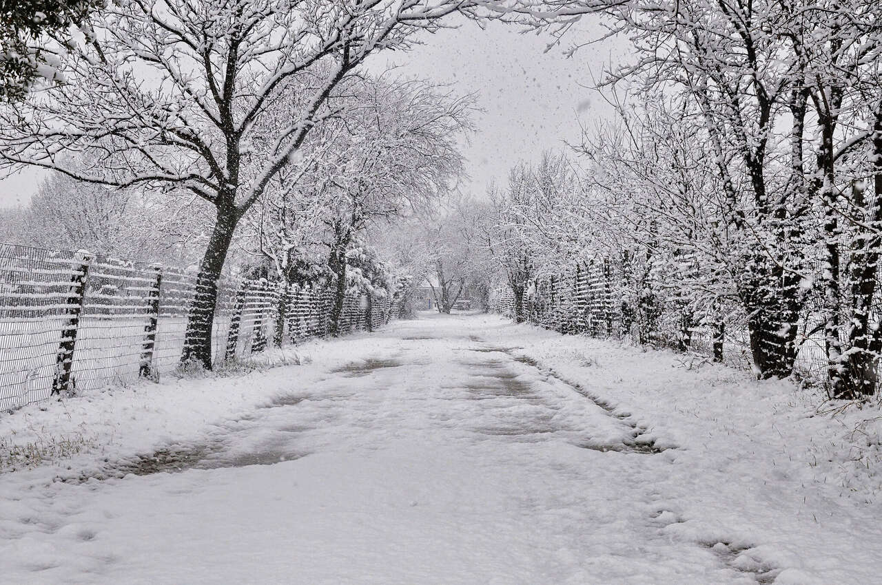 Arctic blast set to freeze Houston: Wind chills near zero this weekend