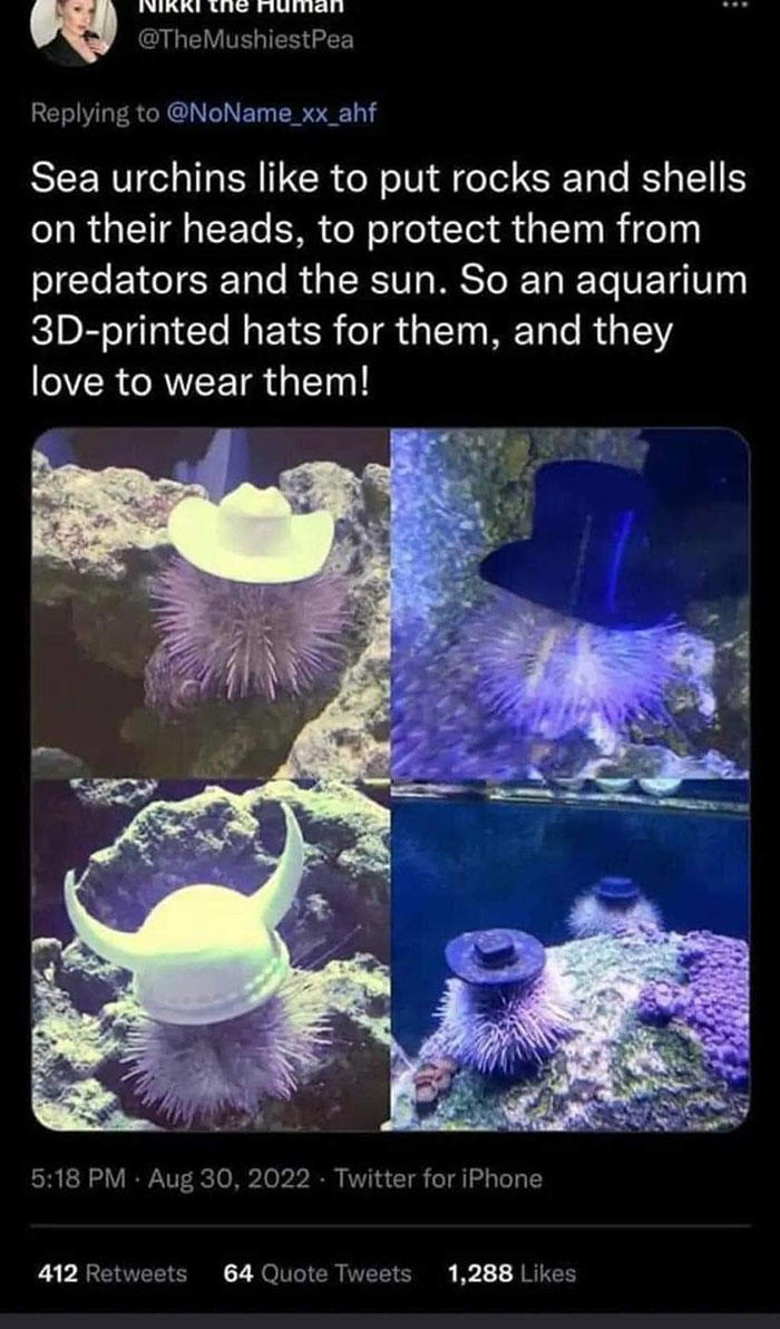 People are creating memes about nature and all things environment, here are  31 of the best