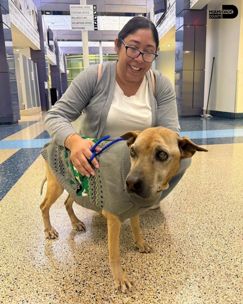 Microchip helps reunite family with dog lost for over 10 years