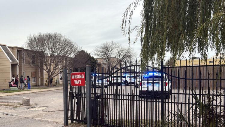 NOPD searching for those responsible for a deadly shooting at Willows ...