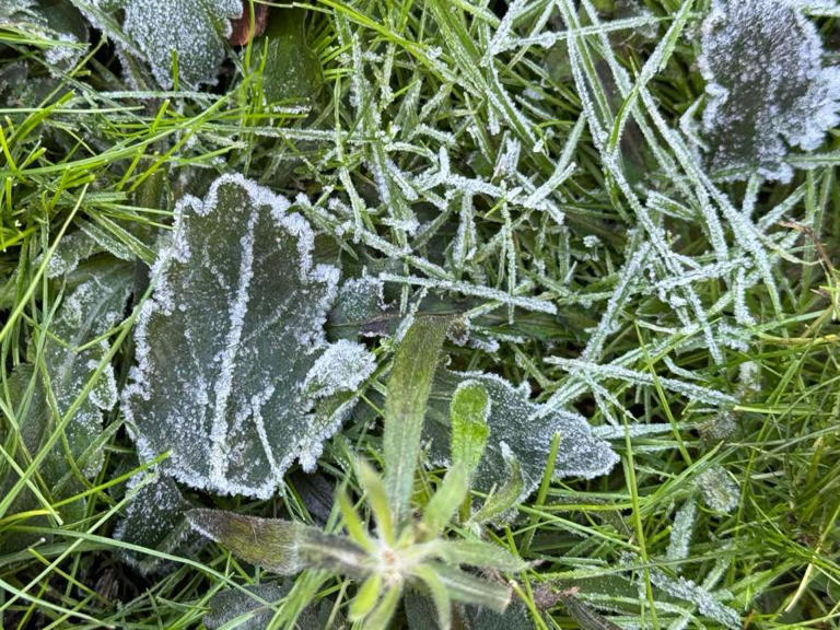 NWS issues frost advisory for parts of Oregon