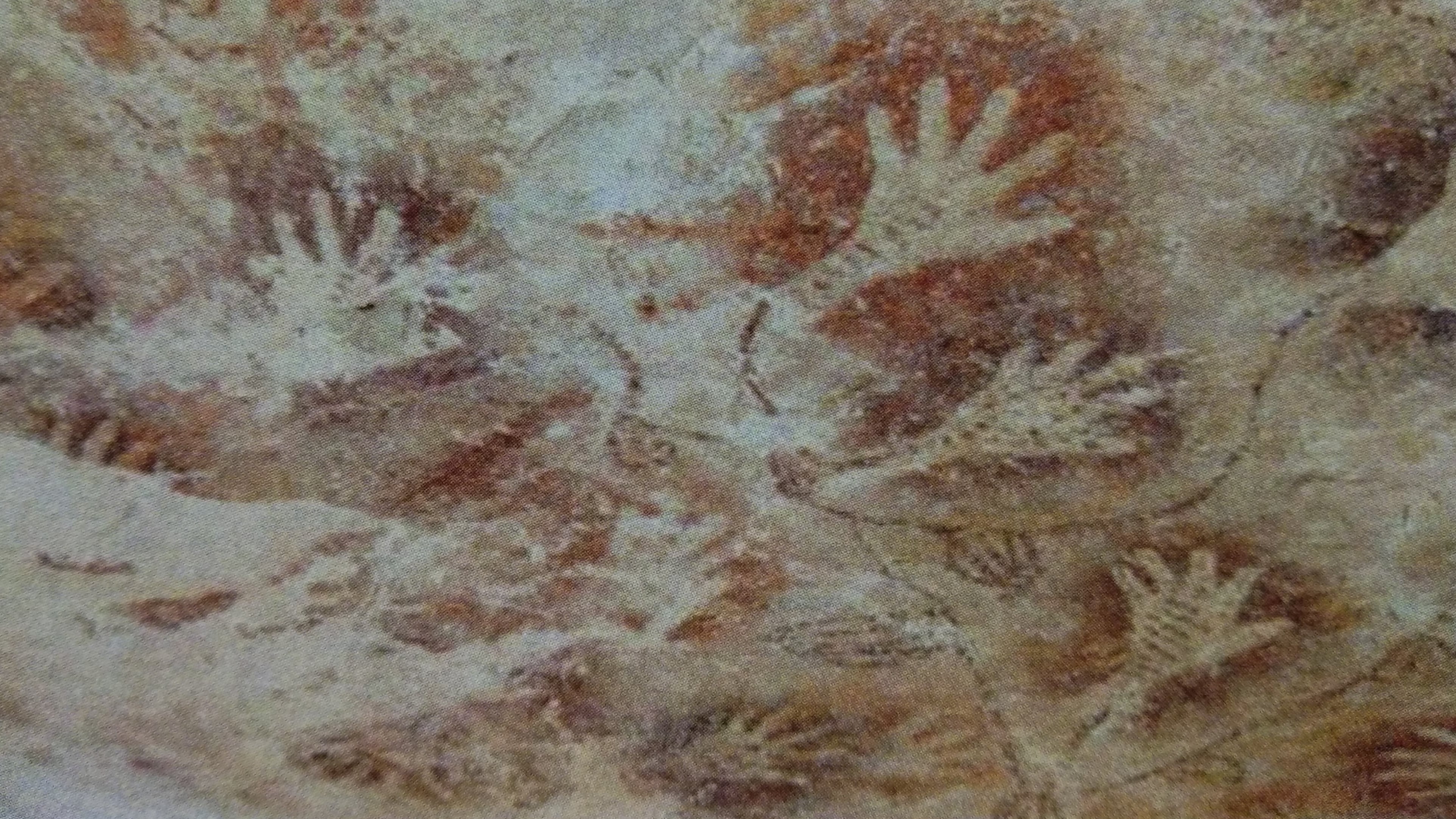 Oldest cave art ever discovered has mystery origin