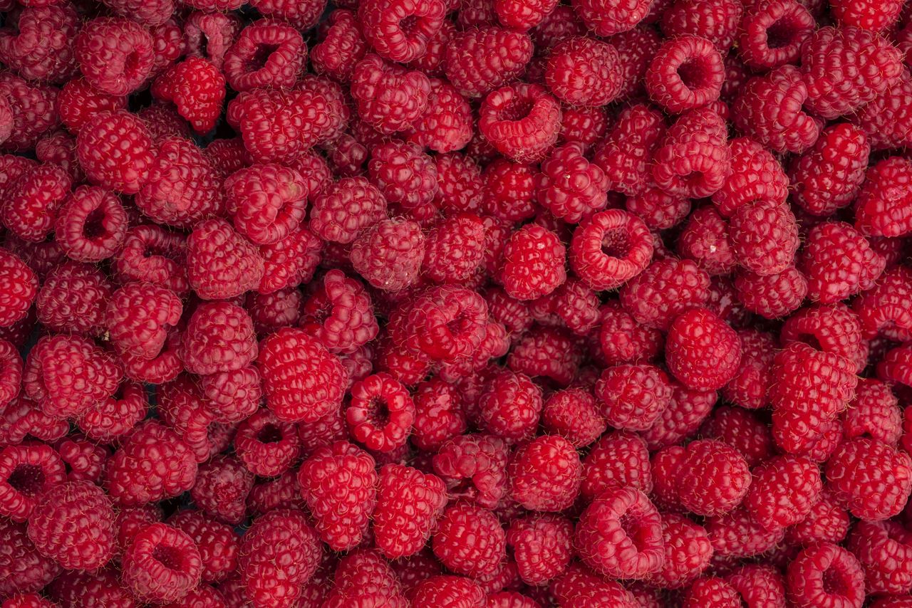 A collection of raspberries filling the frame