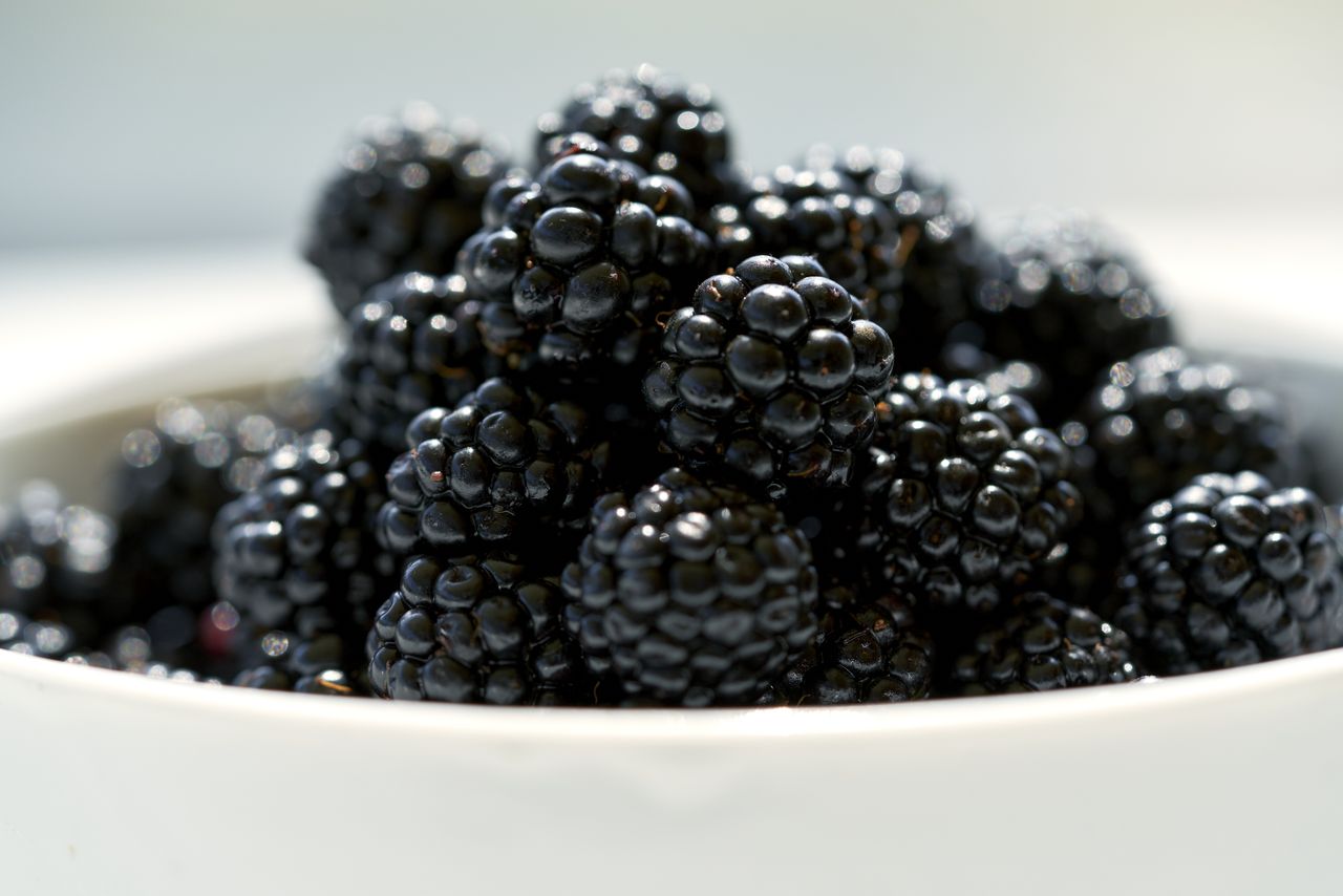 A bowl filled with fresh blackberries