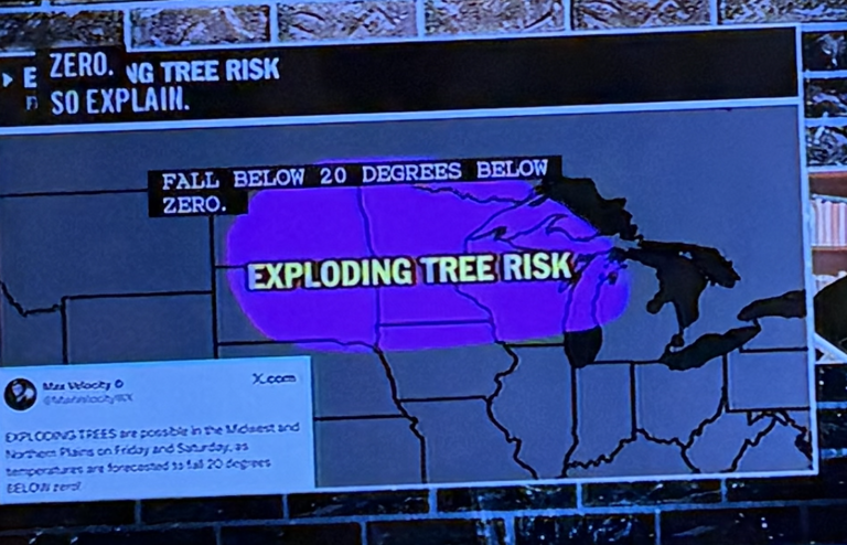 Minnesota's latest viral weather panic: Exploding trees