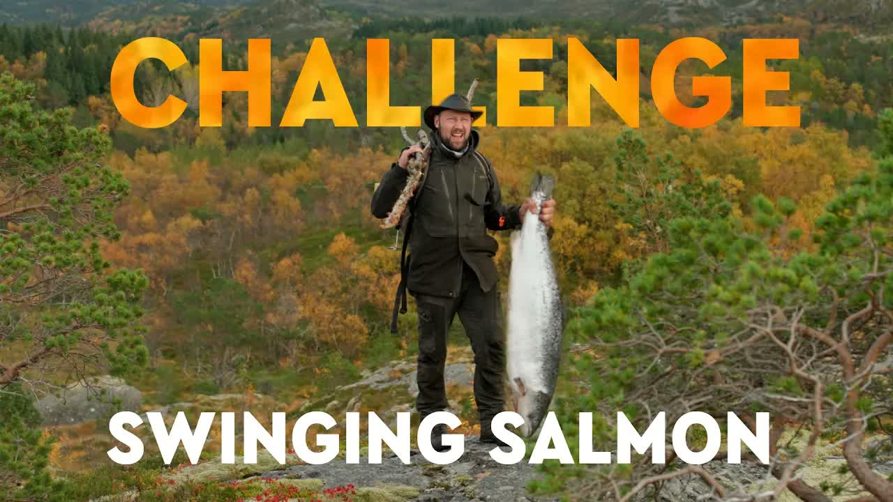 What happens if the pendulum salmon stops