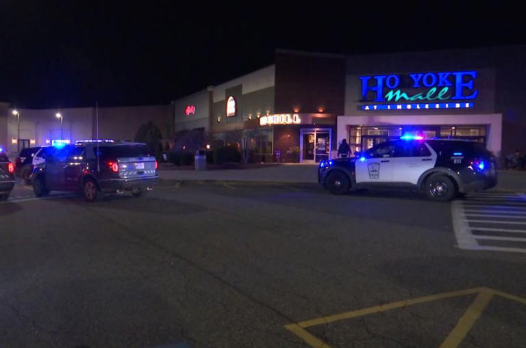 Widow of Holyoke Mall shooting victim files wrongful death suit