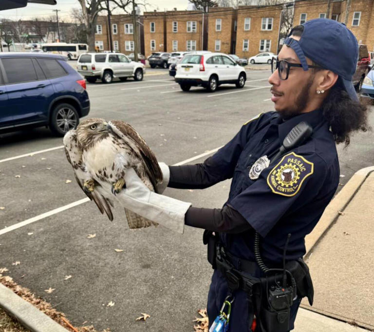 City of Passaic Animal Shelter