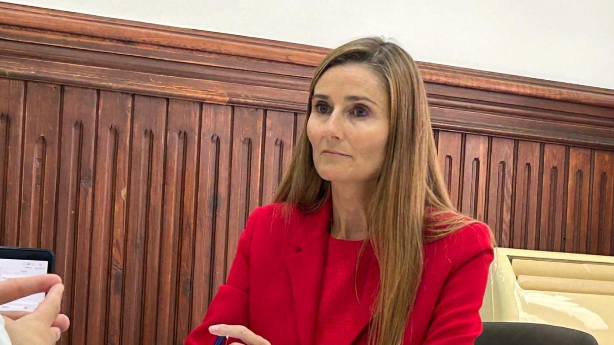 La concejala de Vox denunciada por delito de odio pide «evitar recurrir ...