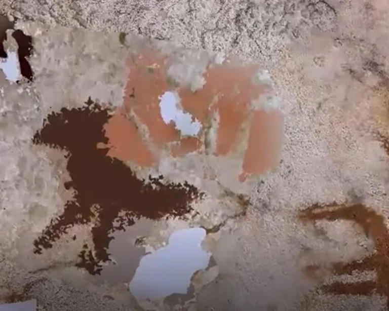 Βρέθηκε η παλαιότερη βραχογραφία στον κόσμο; Στο φως ζωγραφιά ηλικίας 67.800 ετών
