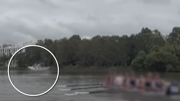 A shark was recorded leaping out of the water near a group of rowers on the Paramatta River in Sydney.
