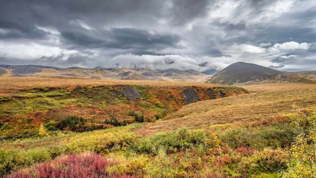Researchers issue warning after observing unexpected change in wild ...