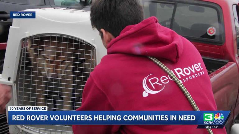Sacramento-based RedRover marks 300 deployments aiding animals in need