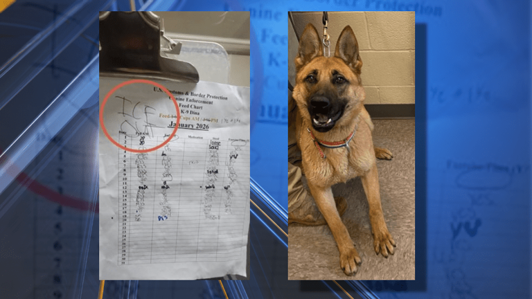 'ICE OUT' scribbled on K-9 officer’s kennel chart, DHS says