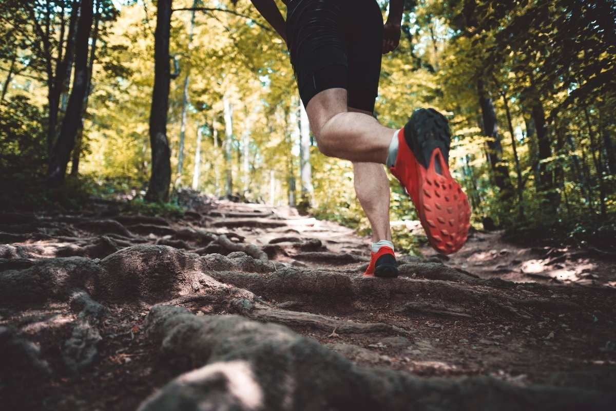 Entries are open for 2026 Two Oceans Marathon Trail Run
