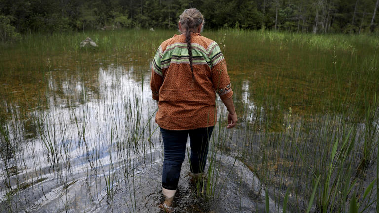 Greenland is a global model for Indigenous self-governance. Trump’s ...