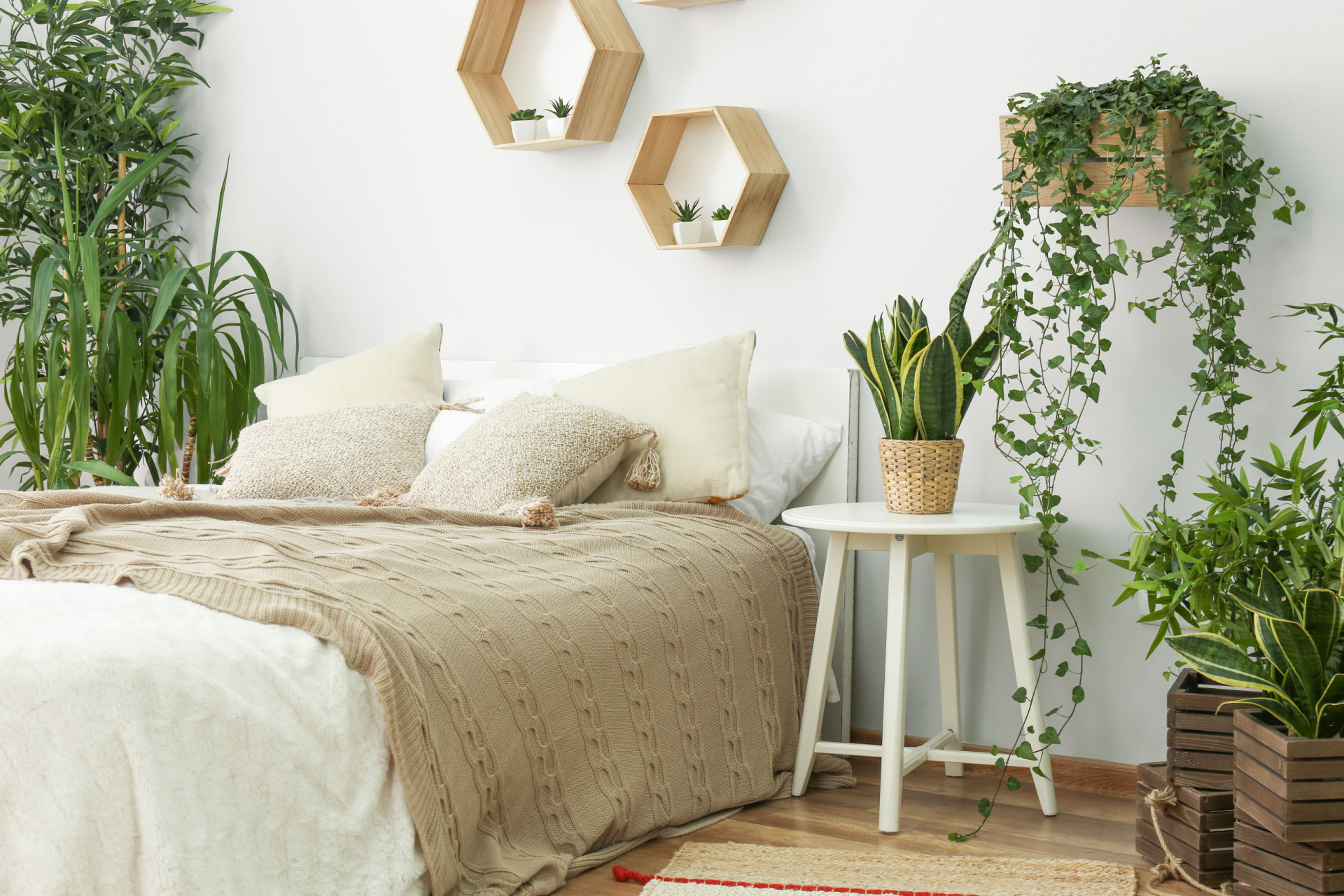 Plants that may not suit your bedroom