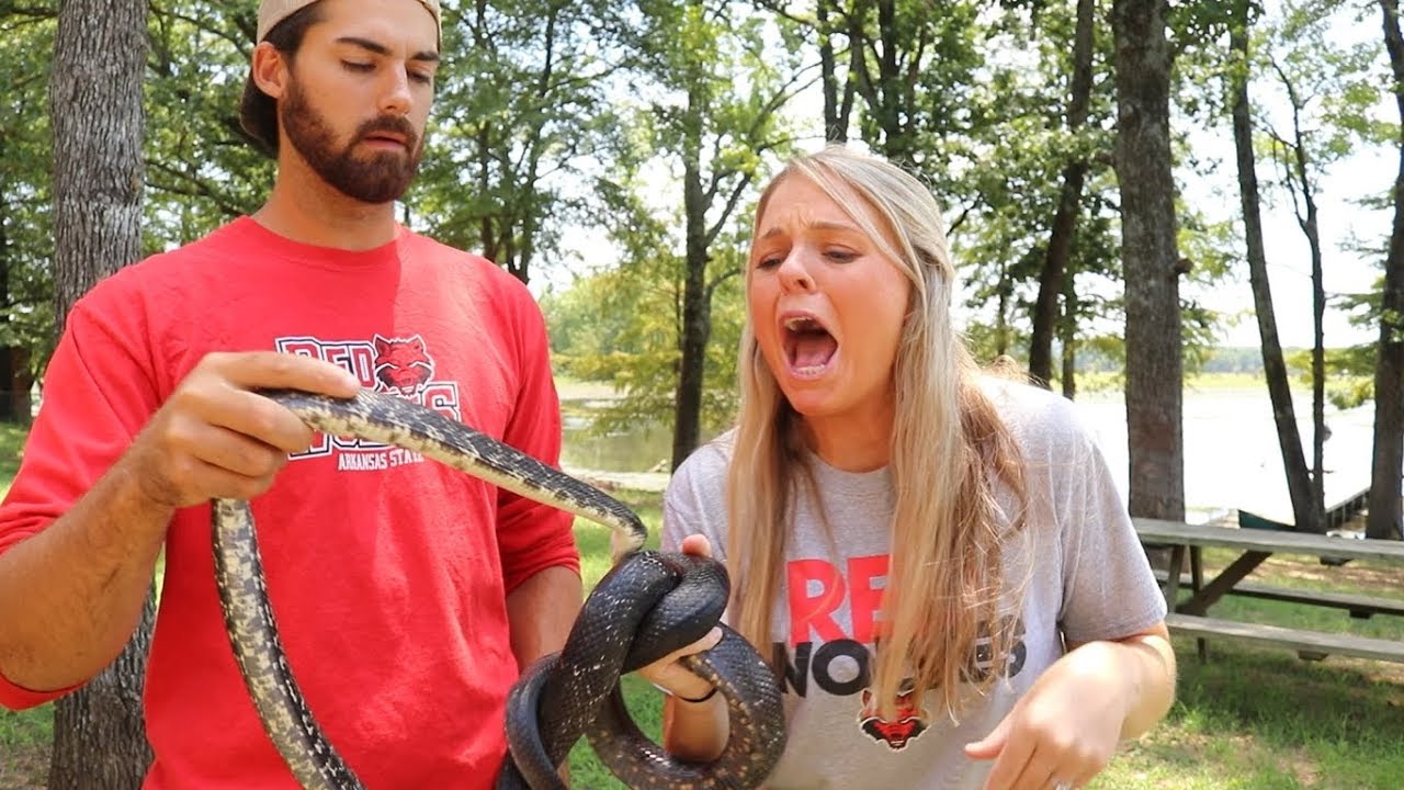 Close up encounter with a large Arkansas rat snake