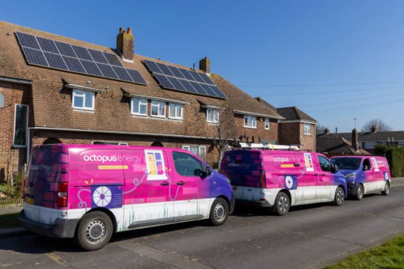 Octopus Energy issues 'huge' announcement and stresses 'need to move fast'
