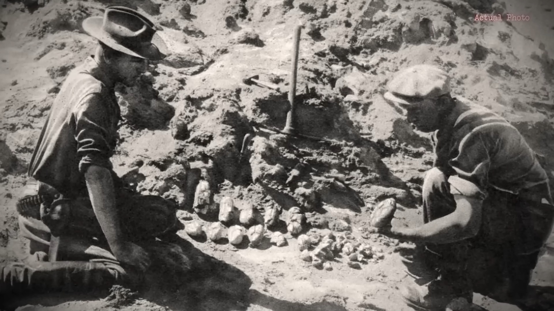 Why the Mongolian death worm terrified the Gobi Desert and was written off