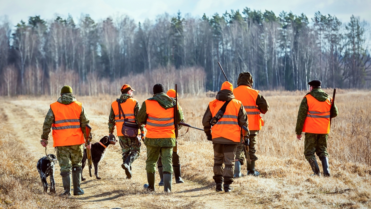 15 US states with the highest number of hunters