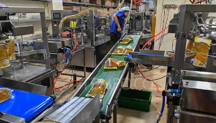 Kepala Badan Pangan Nasional Amran Sulaiman