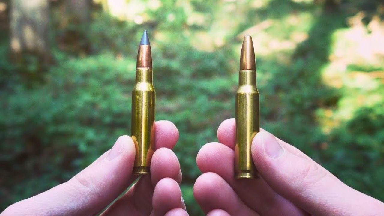 The rifle cartridges that still work at normal hunting distances