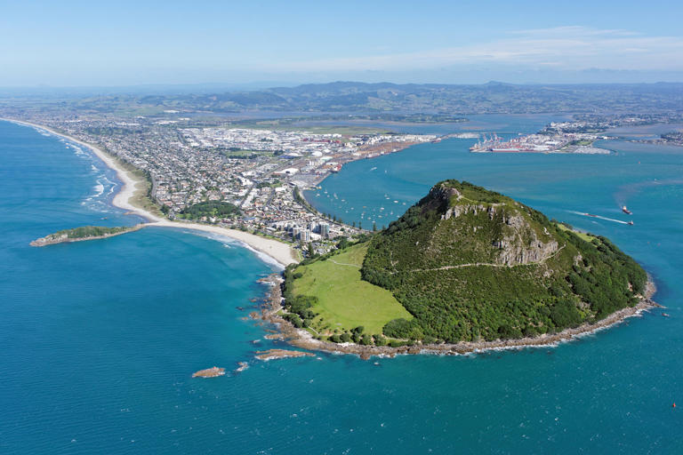Several missing with 'no sign of life' in New Zealand landslide