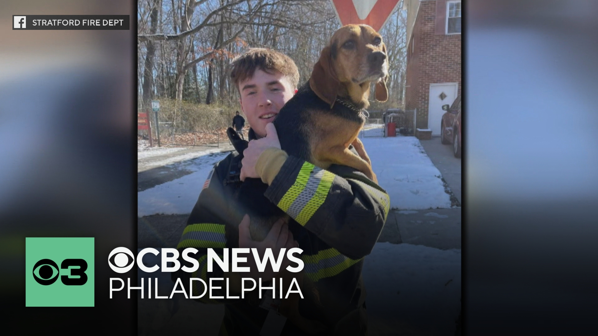 South Jersey firefighters rescue dog trapped in storm drain