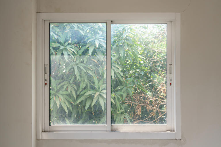 Types of windows: A complete guide to styles, costs and best uses