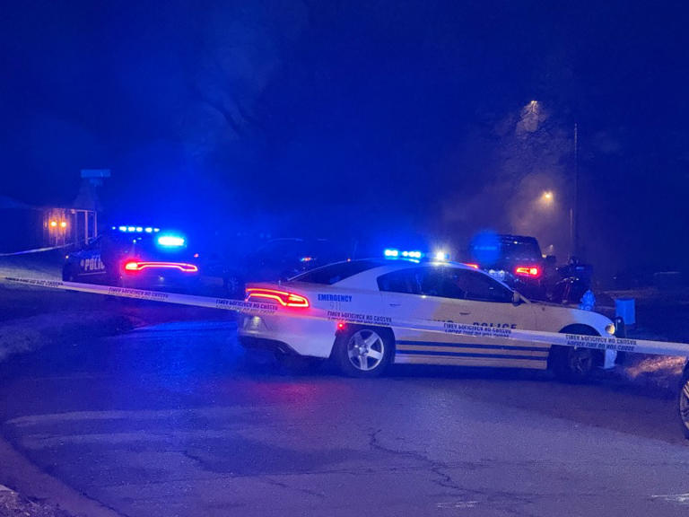 Teen shot to death in southeast Memphis home: MPD