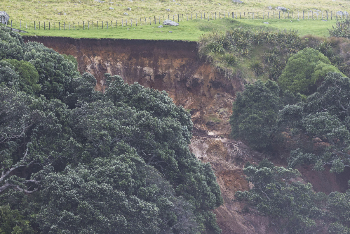 Tragic landslides in New Zealand: 2 confirmed dead, several missing<br><br>