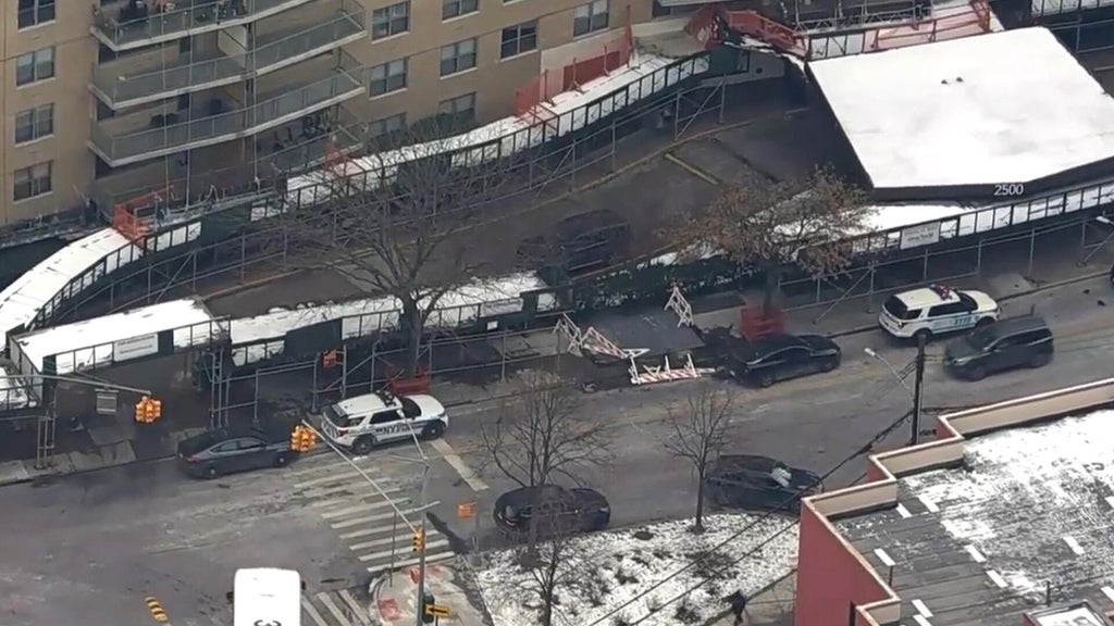 Port Authority officer shoots sister, mother in NYC apparent murder ...