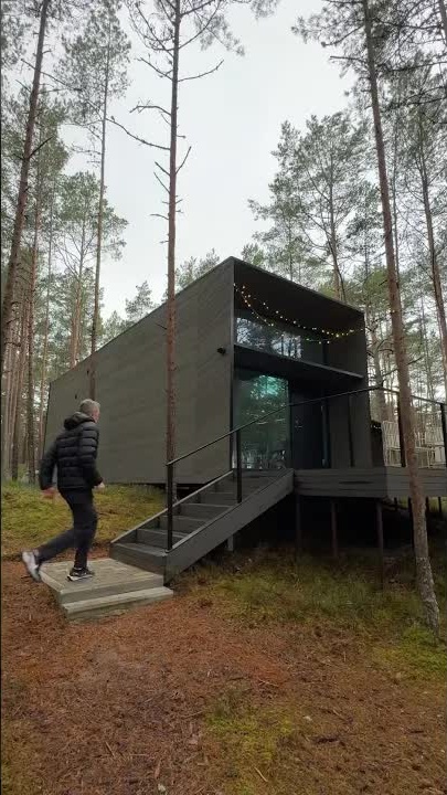 Tiny home tour - 492 sq ft Nordic prefab with loft!