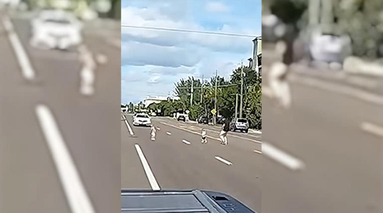 You have to see this! Man rescues two toddlers who wandered onto road